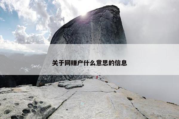 关于网赚户什么意思的信息