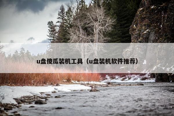 u盘傻瓜装机工具（u盘装机软件推荐）