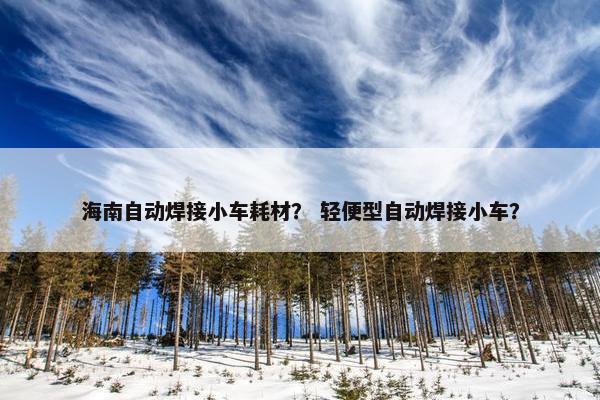 海南自动焊接小车耗材？ 轻便型自动焊接小车？