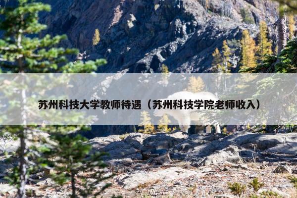 苏州科技大学教师待遇（苏州科技学院老师收入）