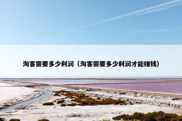 淘客需要多少利润（淘客需要多少利润才能赚钱）