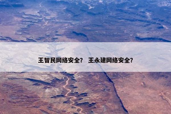 王智民网络安全？ 王永建网络安全？