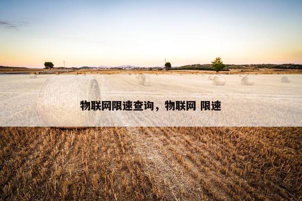 物联网限速查询，物联网 限速
