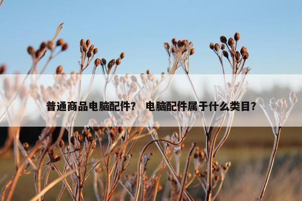 普通商品电脑配件？ 电脑配件属于什么类目？