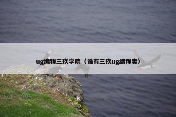 ug编程三玖学院（谁有三玖ug编程卖）