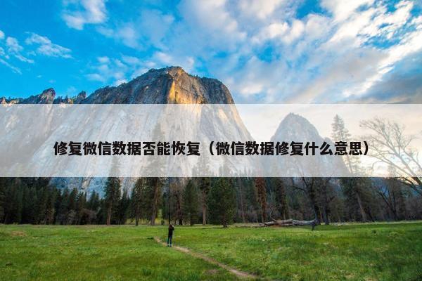 修复微信数据否能恢复（微信数据修复什么意思）