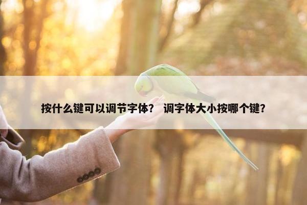 按什么键可以调节字体？ 调字体大小按哪个键？
