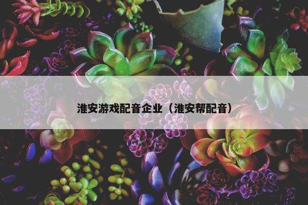 淮安游戏配音企业（淮安帮配音）