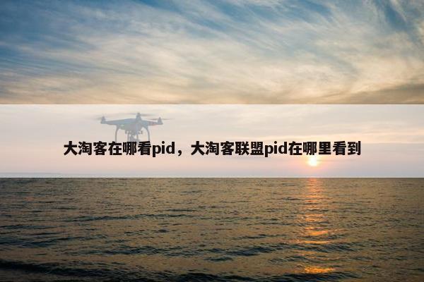 大淘客在哪看pid，大淘客联盟pid在哪里看到