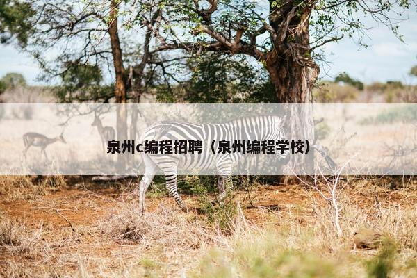 泉州c编程招聘（泉州编程学校）