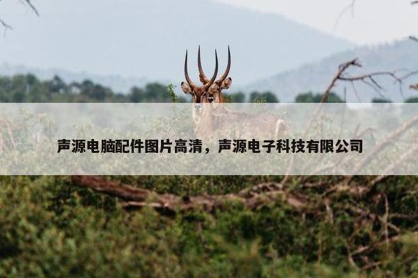 声源电脑配件图片高清，声源电子科技有限公司