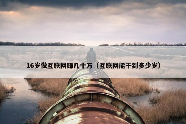 16岁做互联网赚几十万（互联网能干到多少岁）
