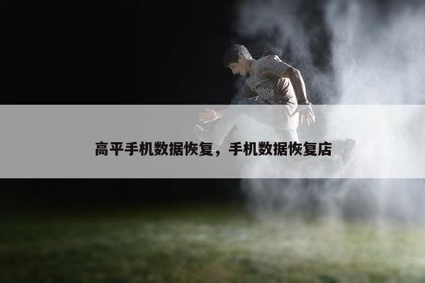 高平手机数据恢复，手机数据恢复店