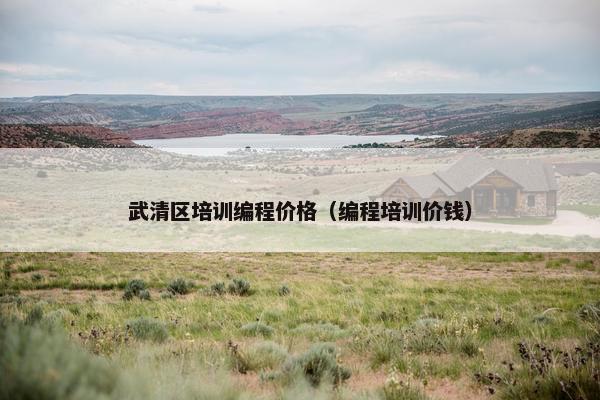 武清区培训编程价格（编程培训价钱）