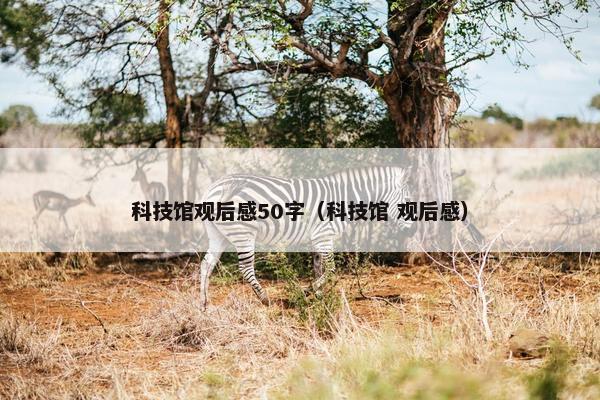科技馆观后感50字（科技馆 观后感）