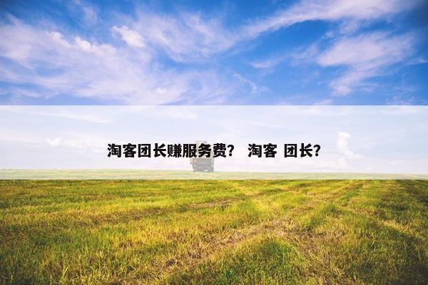 淘客团长赚服务费？ 淘客 团长？