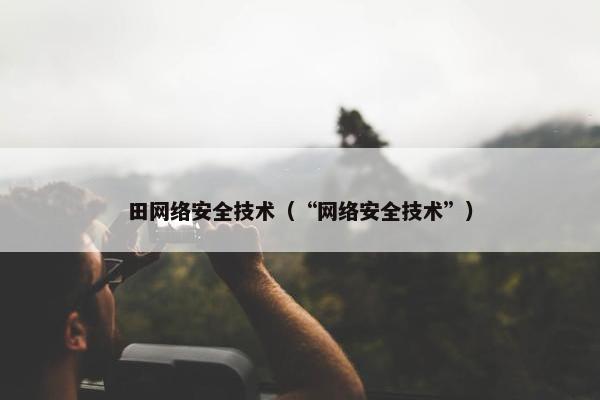 田网络安全技术（“网络安全技术”）