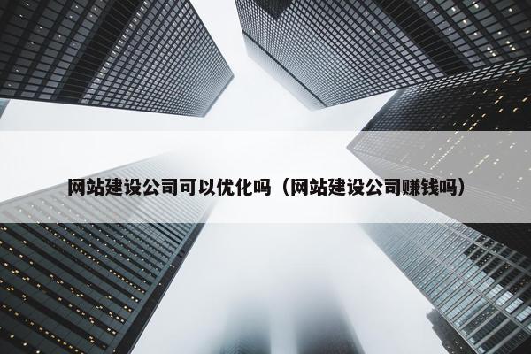 网站建设公司可以优化吗（网站建设公司赚钱吗）