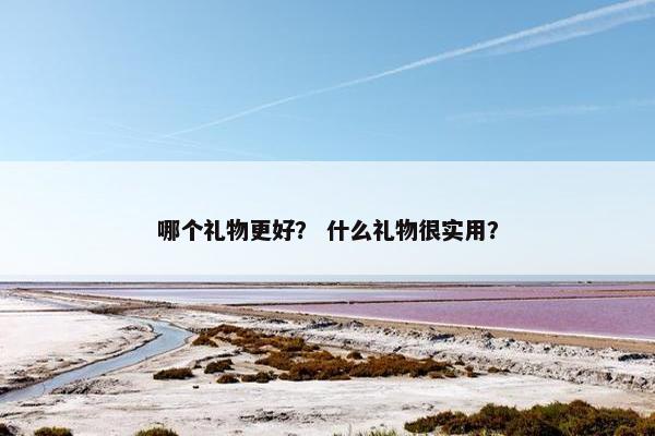 哪个礼物更好？ 什么礼物很实用？