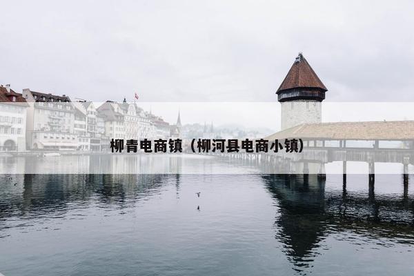 柳青电商镇（柳河县电商小镇）