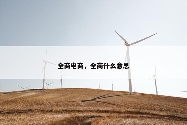 全商电商，全商什么意思