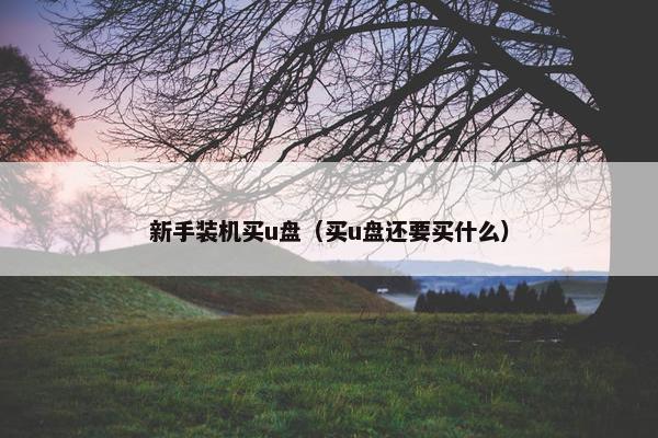 新手装机买u盘（买u盘还要买什么）