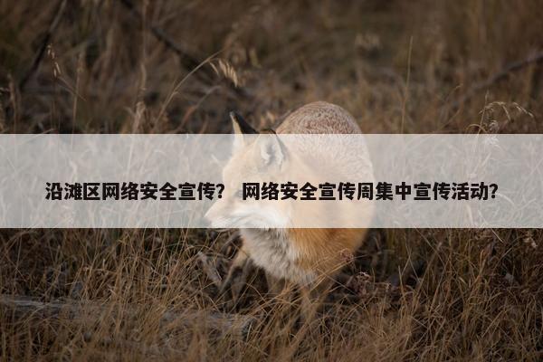 沿滩区网络安全宣传？ 网络安全宣传周集中宣传活动？