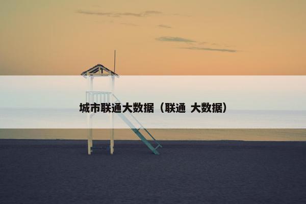 城市联通大数据（联通 大数据）