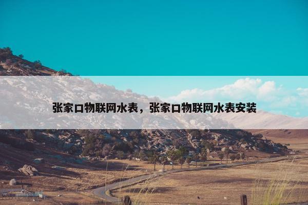 张家口物联网水表，张家口物联网水表安装