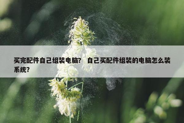买完配件自己组装电脑？ 自己买配件组装的电脑怎么装系统？