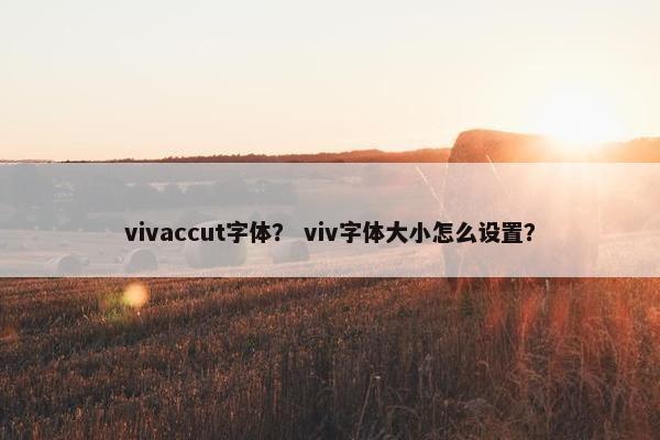 vivaccut字体？ viv字体大小怎么设置？
