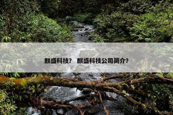 麒盛科技？ 麒盛科技公司简介？