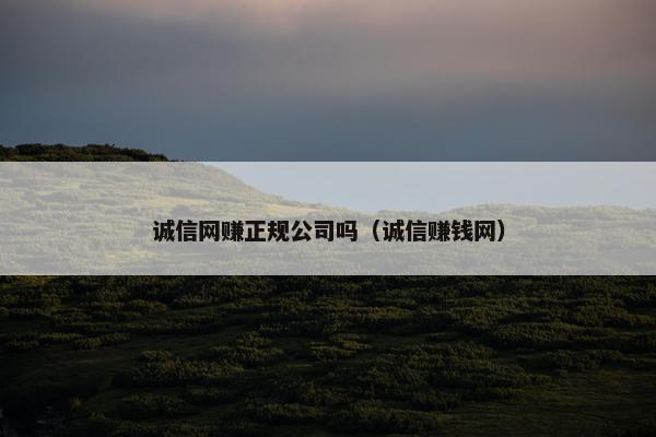 诚信网赚正规公司吗（诚信赚钱网）