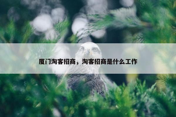 厦门淘客招商，淘客招商是什么工作
