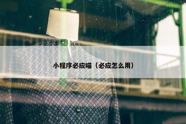 小程序必应喵（必应怎么用）