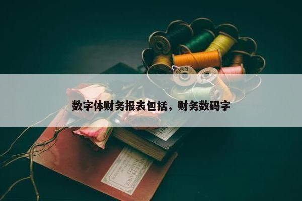 数字体财务报表包括，财务数码字