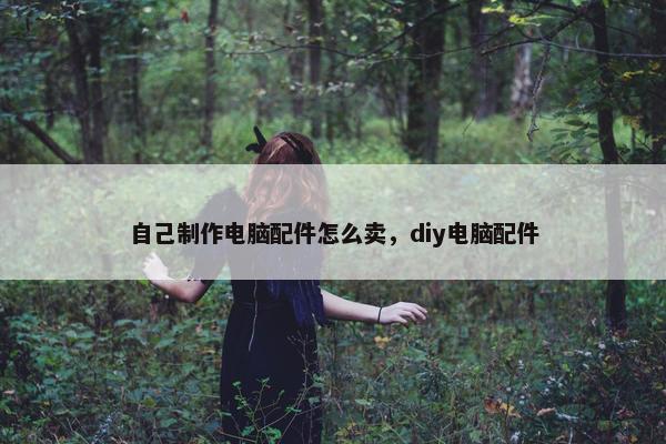 自己制作电脑配件怎么卖，diy电脑配件
