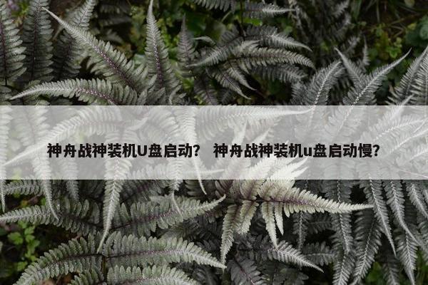 神舟战神装机U盘启动？ 神舟战神装机u盘启动慢？
