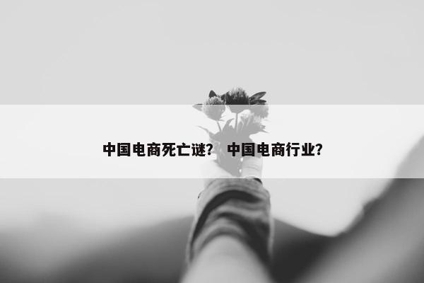 中国电商死亡谜？ 中国电商行业？