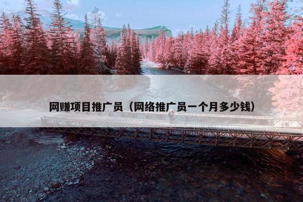 网赚项目推广员（网络推广员一个月多少钱）
