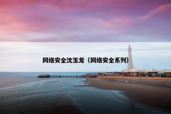 网络安全沈玉龙（网络安全系列）