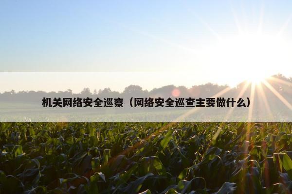 机关网络安全巡察（网络安全巡查主要做什么）