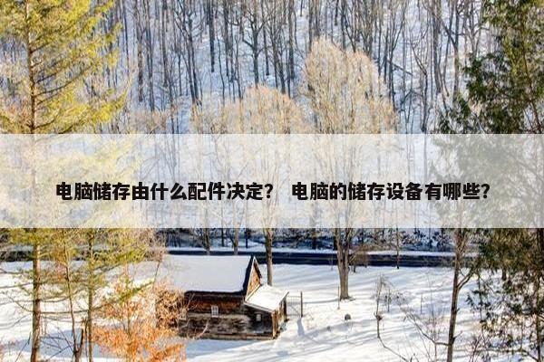 电脑储存由什么配件决定？ 电脑的储存设备有哪些？