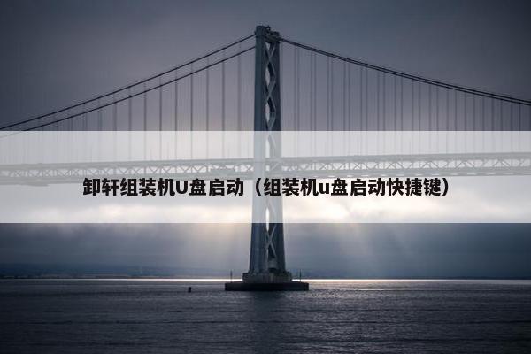 卸轩组装机U盘启动（组装机u盘启动快捷键）