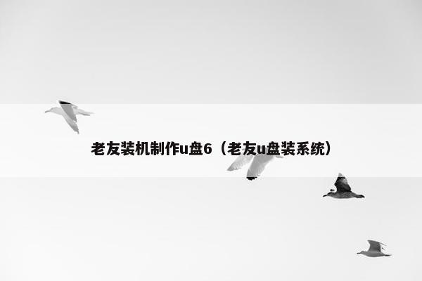 老友装机制作u盘6（老友u盘装系统）