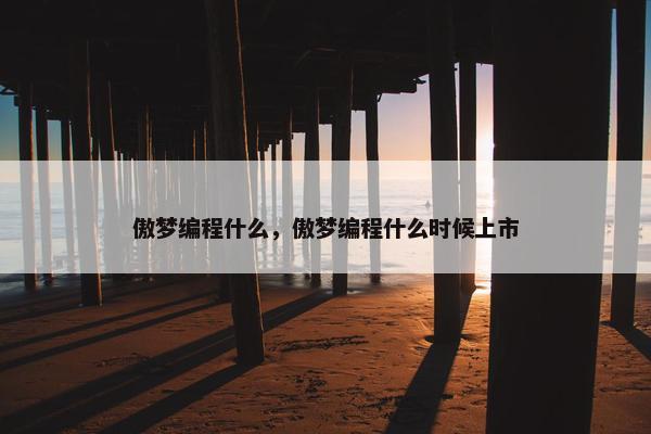 傲梦编程什么，傲梦编程什么时候上市