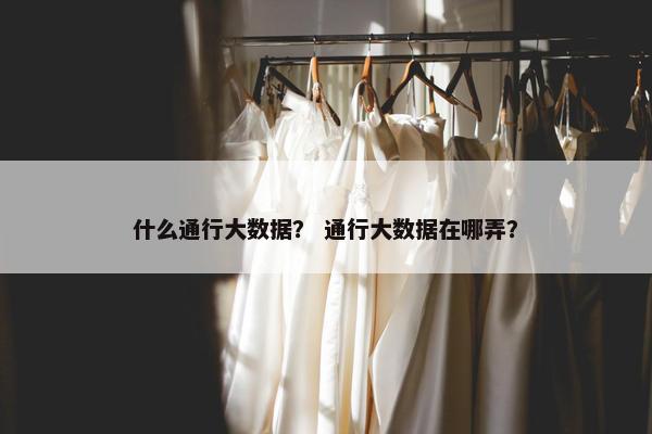 什么通行大数据？ 通行大数据在哪弄？