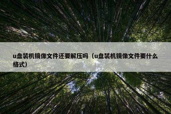 u盘装机镜像文件还要解压吗（u盘装机镜像文件要什么格式）