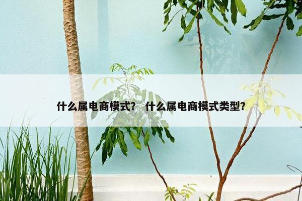 什么属电商模式？ 什么属电商模式类型？