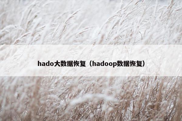 hado大数据恢复（hadoop数据恢复）